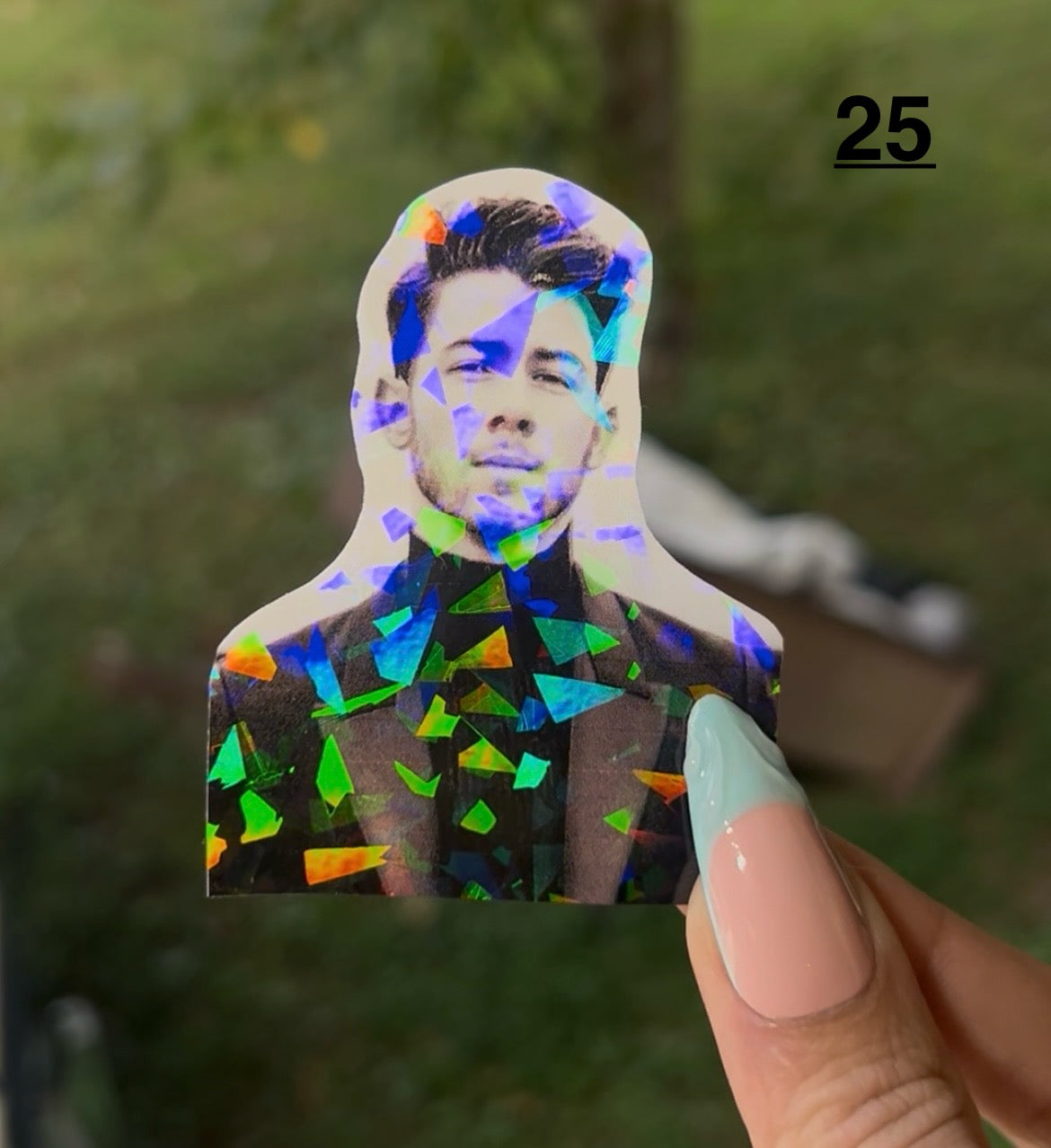 Jonas Brothers Stickers