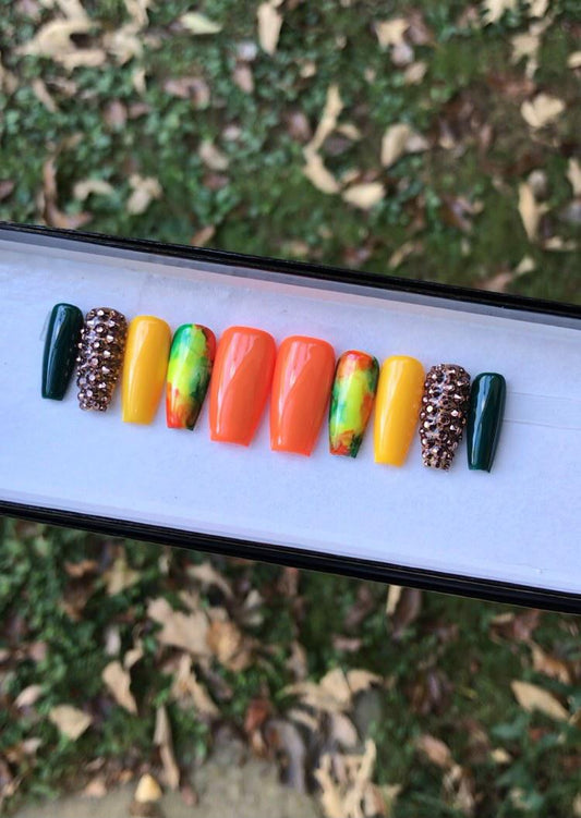 Harvest Delight